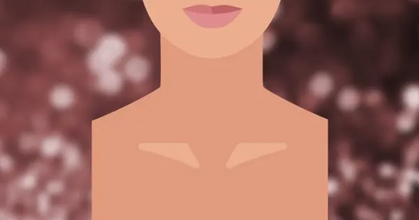 Decolletage Necks